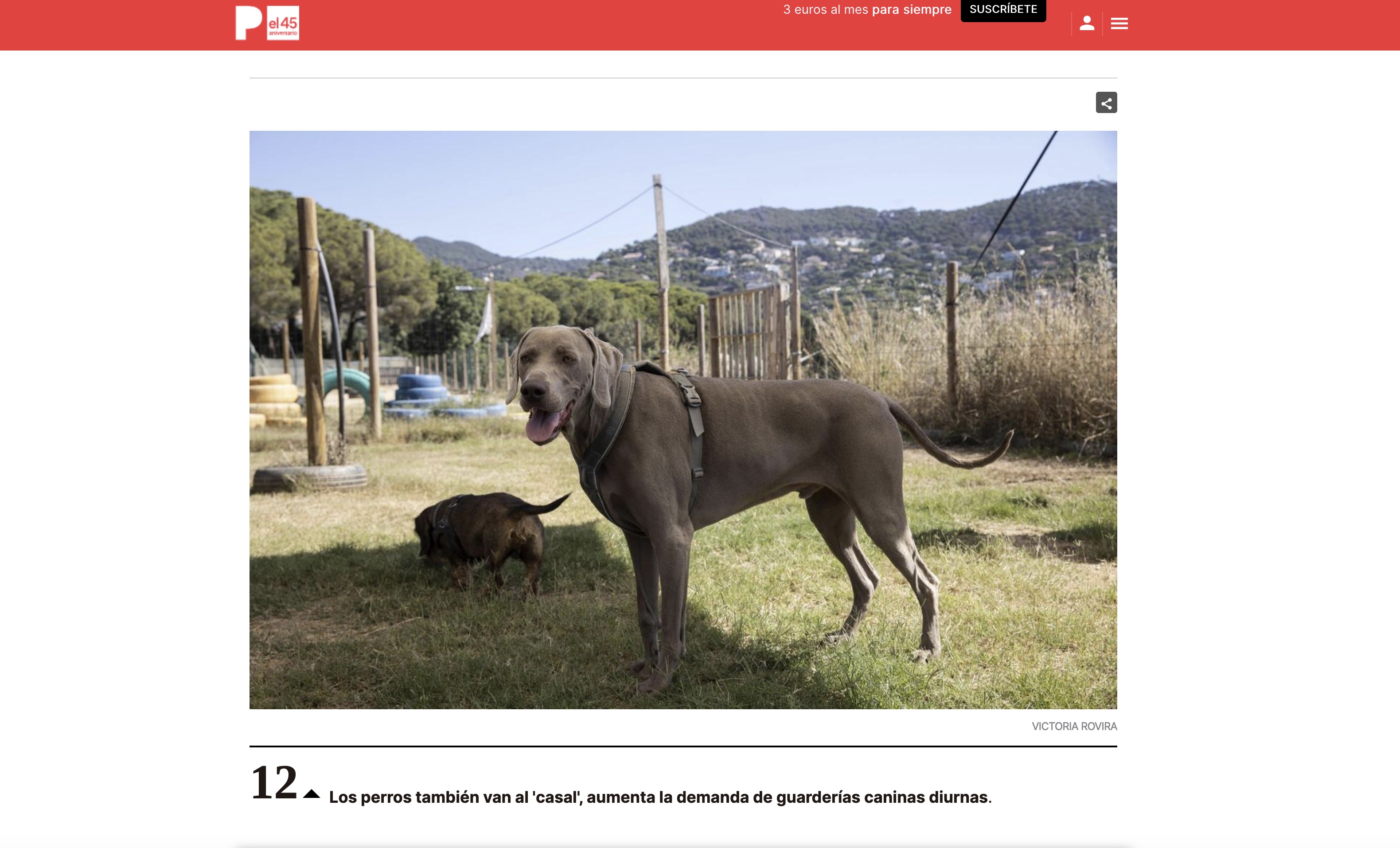 El Periódico