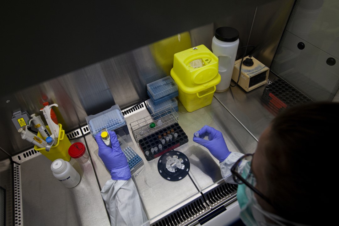 Análisis de los tests PCR con procesos lentos y rápidos contra la Covid-19 dentro del laboratorio del Hospital Parc Taulí de Sabadell, Barcelona. 28 de abril de 2020.